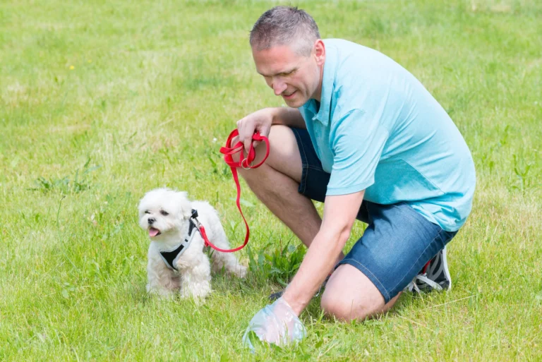 Poop Waste Removal